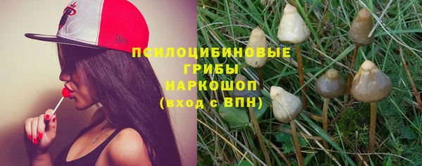 гидропоника Покровск